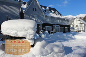 Natural Hot Spring Hakuba Symphony